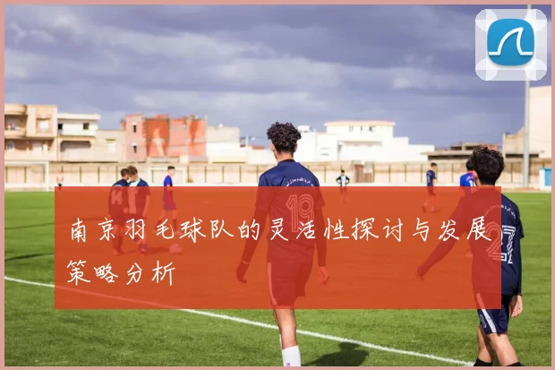 南京羽毛球队的灵活性探讨与发展策略分析