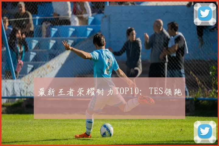 最新王者荣耀耐力TOP10：TES领跑